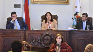 Cara a cara. Glauser criticó directamente al concejal Gainza.&nbsp;