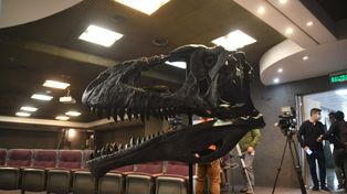 Presentaron en Neuquén el esqueleto hallado de un gran devorador de dinosaurios