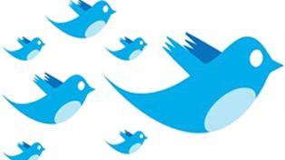 Todo por ser popular: ahora venden 10 mil seguidores en twitter a 50 pesos