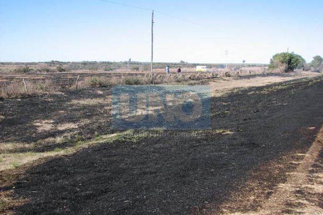 Al menos 15 salidas de los bomberos