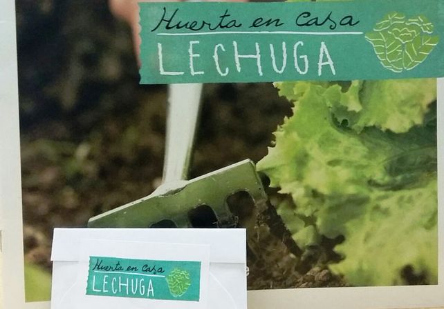 Verduras por las nubes: ¿por qué un kilo de lechuga llega a costar $15.000? Verduras por las nubes: ¿por qué un kilo de lechuga llega a costar $15.000?