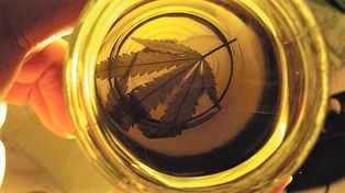 Exigen que se destrabe la importación de cannabis para Santa Fe