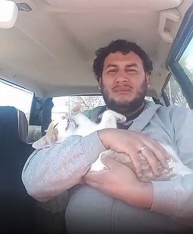 Conmovedor relato de un joven cuyo gato murió en la castración en Zoonosis de Paraná