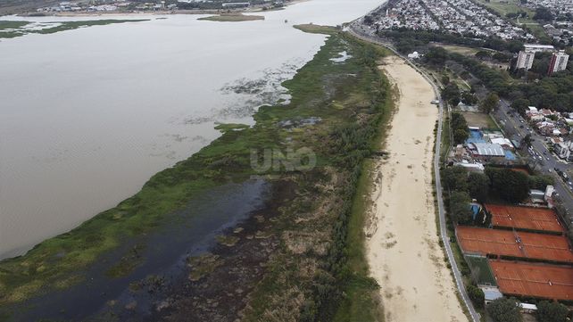 La impactante vegetación que creció sobre la costanera oeste. Foto: UNO Santa Fe