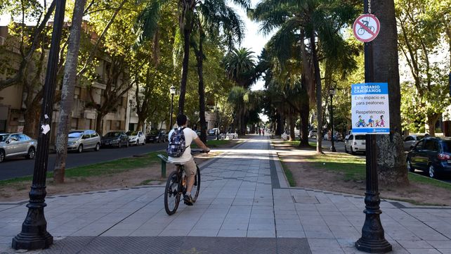 ¿Rosario es una ciudad amigable para moverse en bicicleta?