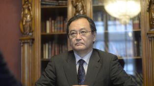 El modelo de vinculación comercial entre Argentina y Japón es una cuestión irresuelta
