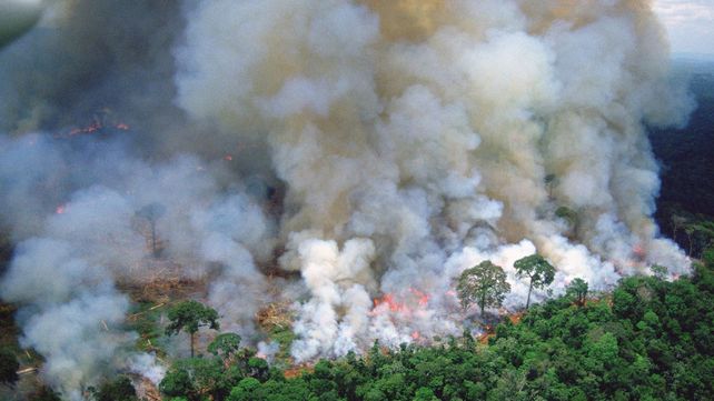 Los incendios en el Amazonas no paran y el humo trae consecuencias en las grandes ciudades.