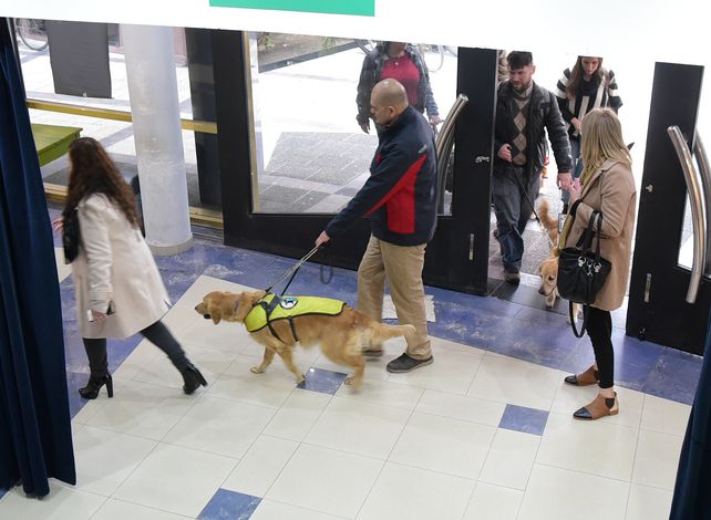 Perros guía para ciegos, una herramienta que cobra cada vez más valor
