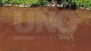 Presentaron denuncia federal por los efluentes en Entre Ríos