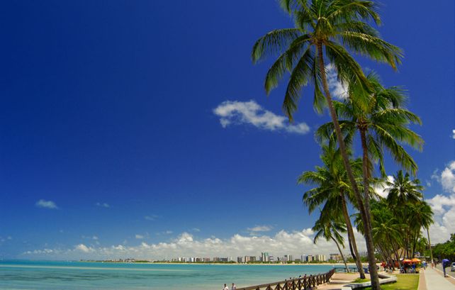 Se podrá viajar de forma directa a Maceió en el verano desde el aeropuerto de Rosario