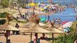 recomendaciones ante cardumenes de dorados que llegan a las playas recomendaciones ante cardumenes de dorados que llegan a las playas