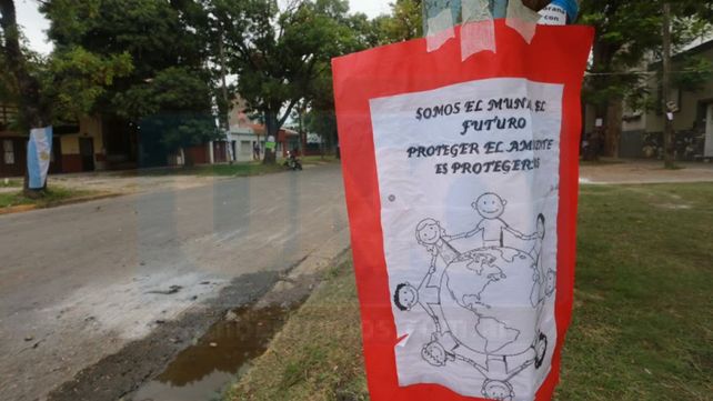 Vigilia y el acampe en defensa de los árboles de bulevar Racedo de Paraná. Piden dialogar para encontrar una salida alternativa.&nbsp; &nbsp;