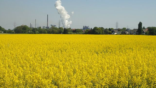 Lo máximo que podemos hacer es cambiar inmediatamente a energías no contaminantes