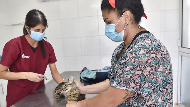 Vacunación antirrábica