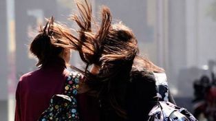 Rige un alerta por vientos fuertes para toda la provincia