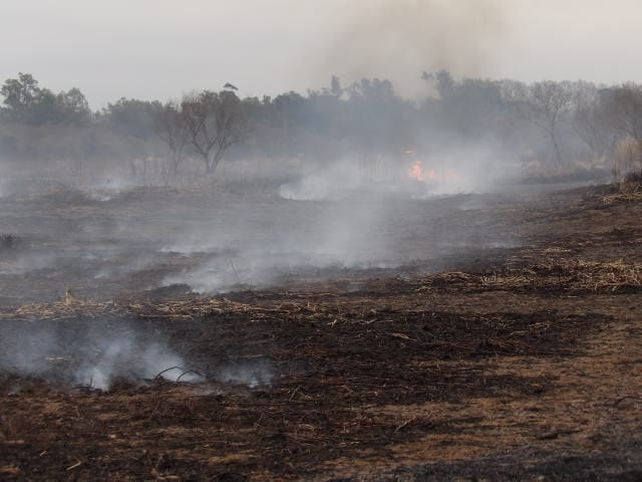 Incendios en las islas: La sociedad debe ver qué es lo que realmente pasó y qué estamos perdiendo