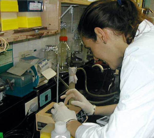 El Inta desarrolla bioinsecticidas contra el dengue y el mal de Chagas