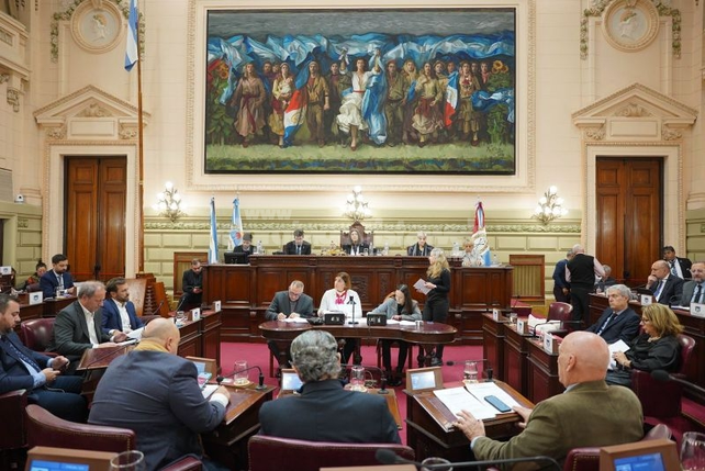 El proyecto tuvo 28 votos afirmativos