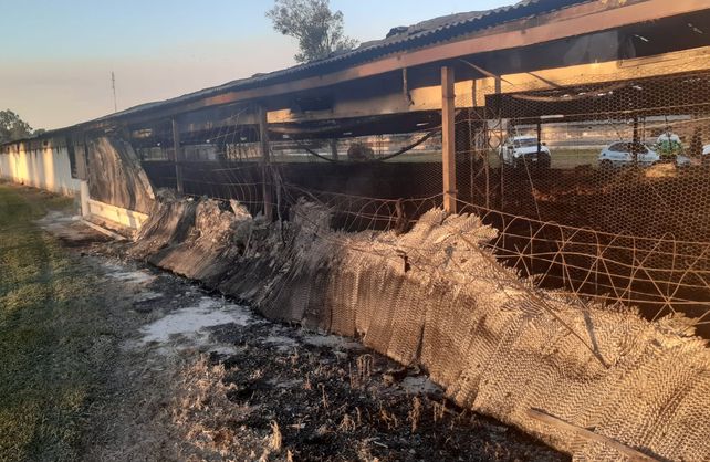 Los da&ntilde;os en la estructura de uno de los galpones de la empresa.&nbsp;