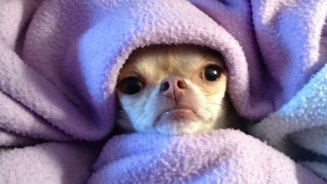Las razones por las que dormimos tapados incluso cuando no hace frío