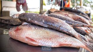 Hay poco pescado de río y su precio subió 80% en un año