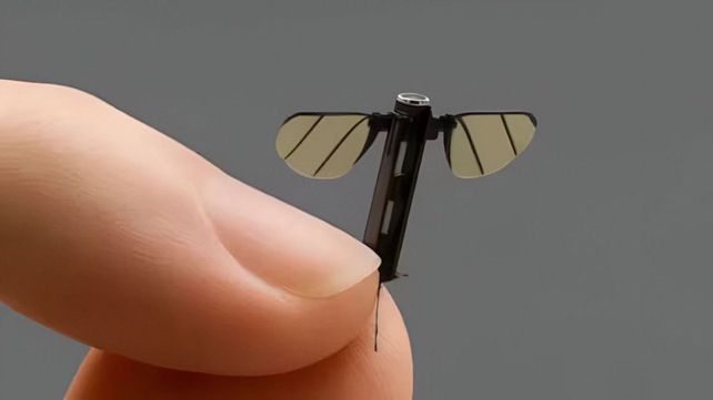 Video: China presentó su nuevo dron espía del tamaño de un mosquito