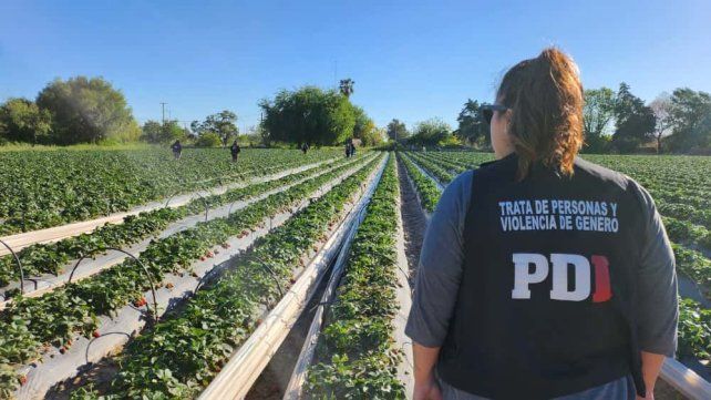Arroyo Leyes: rescataron a 42 personas en situación de explotación laboral y secuestraron armas