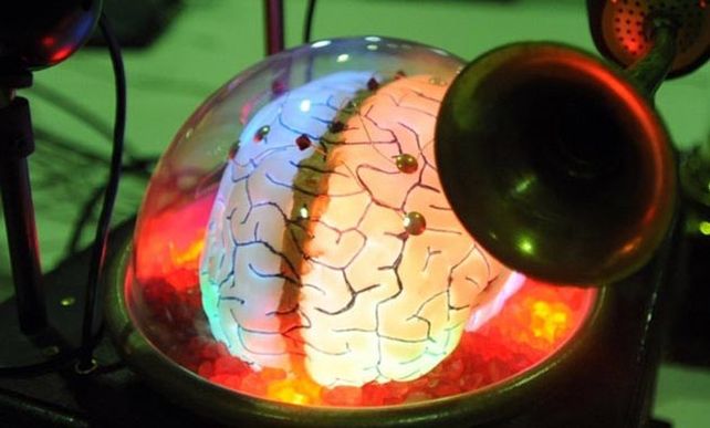 En el Centro Nacional para Enseñar a Pensar de Estados Unidos se estudia el funcionamiento del cerebro.