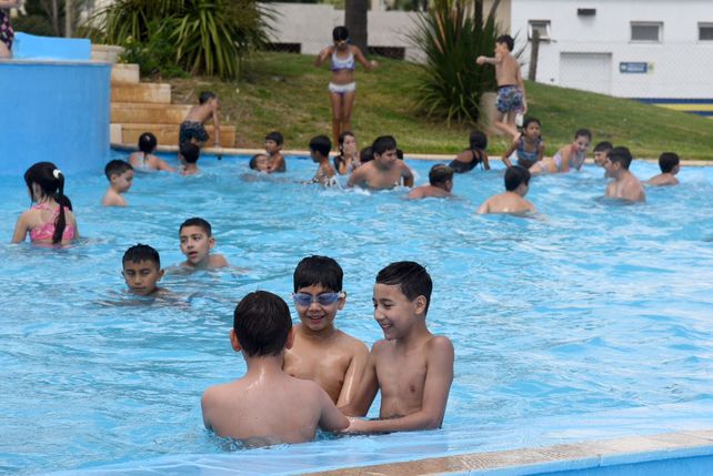 Las Escuelas de Verano se desarrollarán durante todo el mes de enero