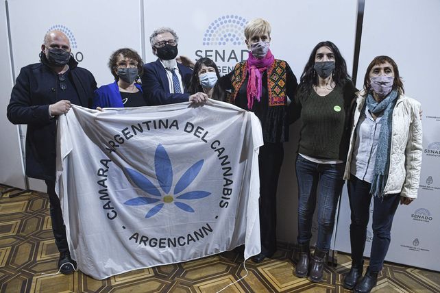 El Senado aprobó el marco regulatorio de producción de cannabis medicinal