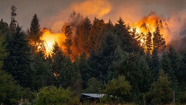 Greenpeace afirma que Argentina ya vive “a crédito ecológico”