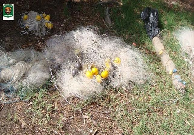Secuestraron 1050 sábalos y 900 metros de redes a dos depredadores
