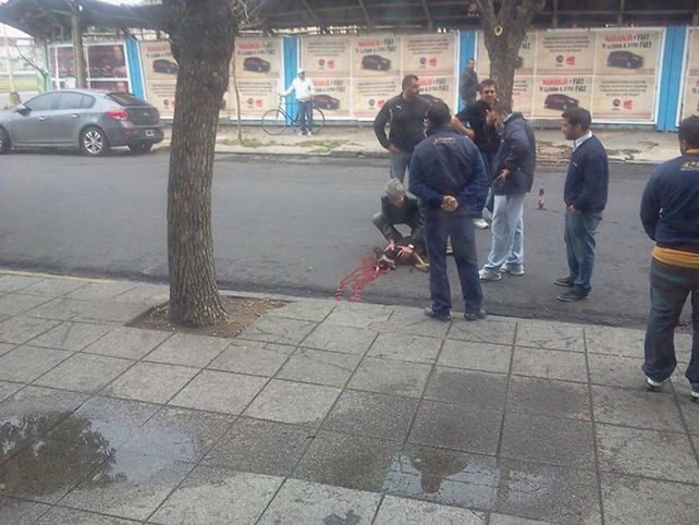 Las redes sociales repudiaron la cruel muerte de un perro