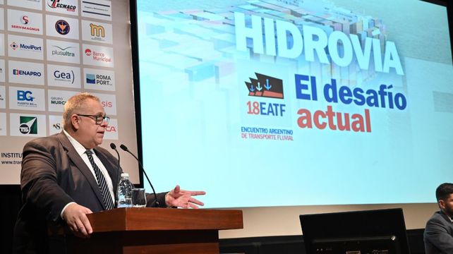 El titular del IDR
