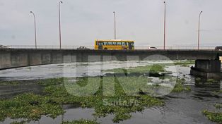 El INA informó que no se espera una subida importante del río Paraná en los próximos 10 días