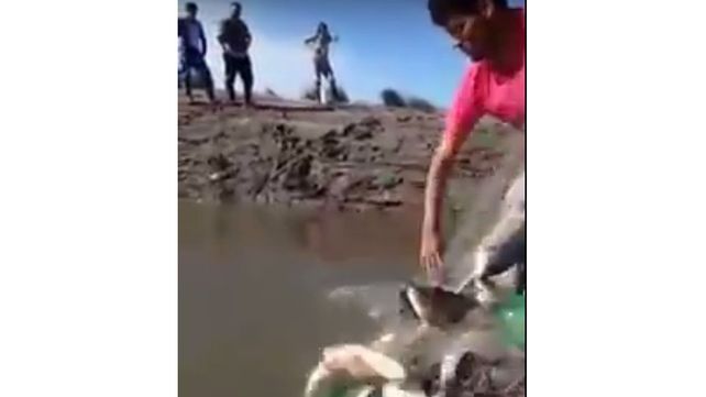 Preocupa la pesca depredadora en río Gualeguay