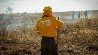 Senadores piden cobertura médica urgente para 85 bomberos voluntarios