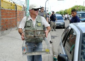 Antes que los vendieran secuestran más de 300 animales silvestres en Pompeya