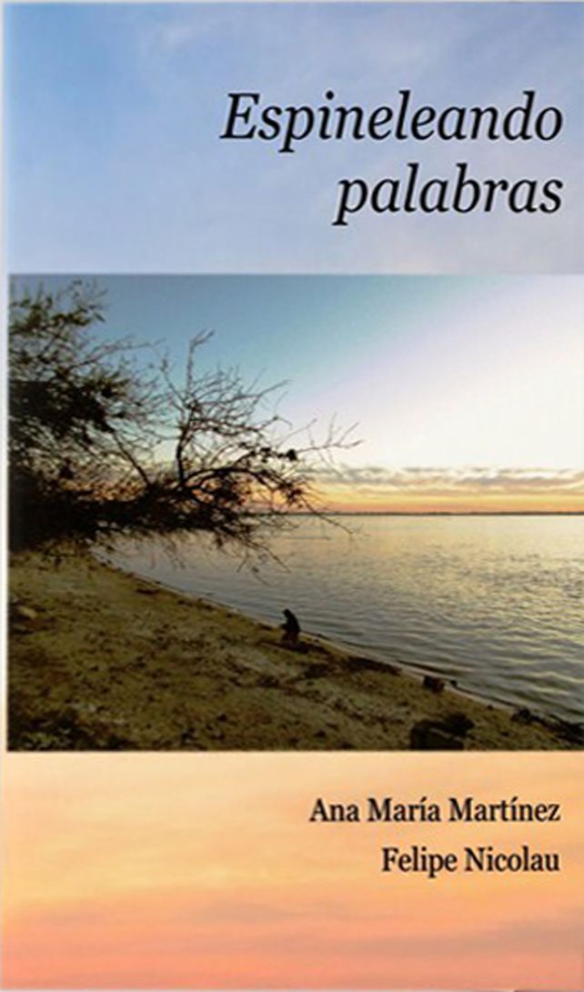 Presentan un libro labrado a  dúo con el talento de los horneros