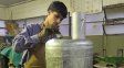 Colón: con materiales reciclados, estudiantes fabrican salamandras para donar a familias