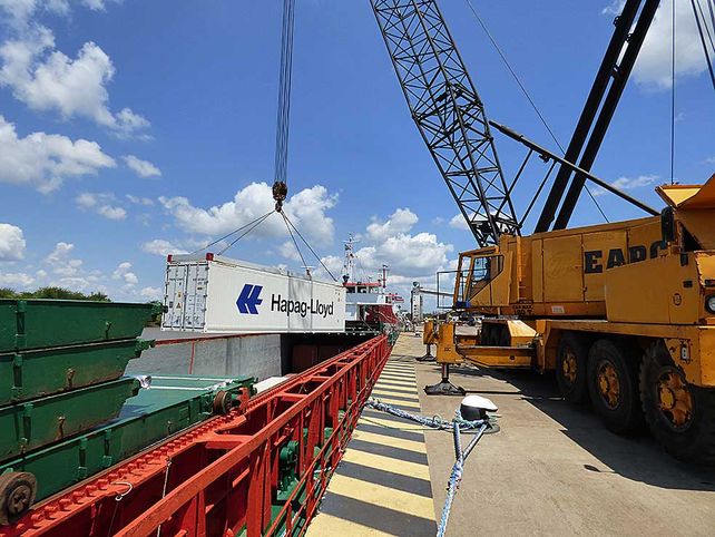 Entre Ríos exportará pollos congelados desde Concepción del Uruguay