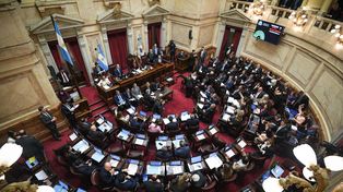 Los vetos en el Senado: cómo votaron los legisladores santafesinos