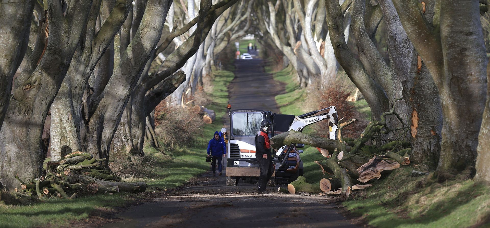 Los podadores de árboles limpian después de que varios árboles que aparecen en la serie de televisión Juego de Tronos fueron dañados y talados durante la tormenta Isha, en Dark Hedges, en el condado de Antrim, Irlanda del Norte, el lunes 22 de enero de 2024. El túnel de árboles se convirtió en famoso cuando apareció en la serie de fantasía de HBO y ahora atrae a un número significativo de turistas de todo el mundo. (Liam McBurney/PA vía AP) Los podadores de árboles limpian después de que varios árboles que aparecen en la serie de televisión Juego de Tronos fueron dañados y talados durante la tormenta Isha, en Dark Hedges, en el condado de Antrim, Irlanda del Norte, el lunes 22 de enero de 2024. El túnel de árboles se convirtió en famoso cuando apareció en la serie de fantasía de HBO y ahora atrae a un número significativo de turistas de todo el mundo. (Liam McBurney/PA vía AP)