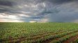 Santa Fe y zona núcleo: las lluvias pasaron de largo en enero y los rindes se resienten de cara a la cosecha gruesa