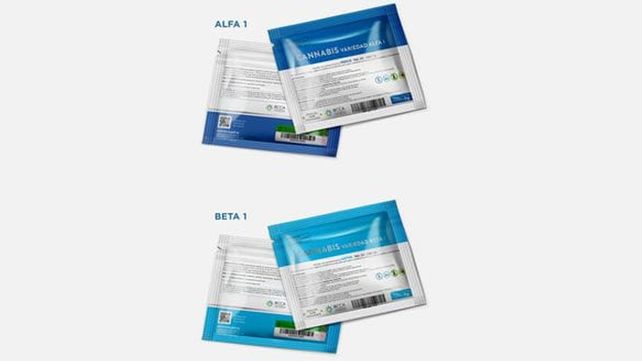 Esta semana, las farmacias uruguayas comenzarán a vender marihuana