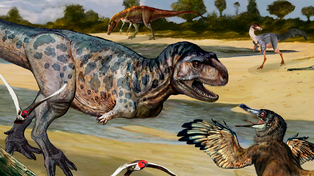 Descubrieron una nueva especie de dinosaurio en Neuquén