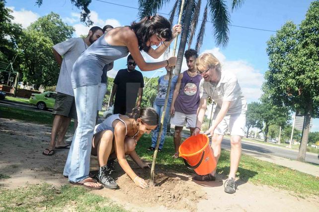 Plantaron un sauce llorón en el Alberdi