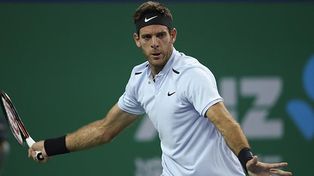 Del Potro sorteó una nueva instancia en Shanghai
