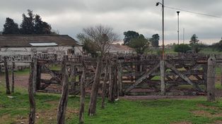 Paciencia al límite en el agro. Los números son cada vez más finos para los productores agropecuarios.