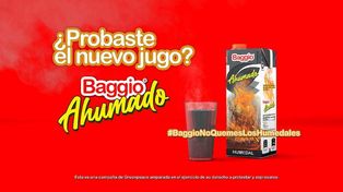 ¿Quién está detrás del video que acusa a los empresarios Baggio de los incendios del Delta?